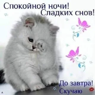 Sticker from Катар идет спать