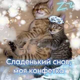 Sticker from Катар идет спать