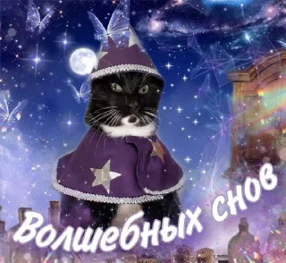 Sticker from Катар идет спать
