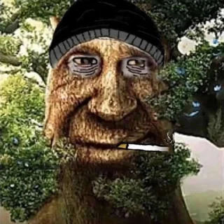 🌳 emoji Мудрый дуб Telegram sticker 22 of 52