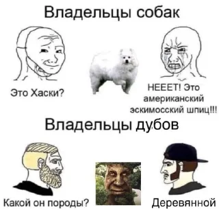 🌳 emoji Мудрый дуб Telegram sticker 21 of 52