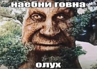 Sticker from Мудрый дуб