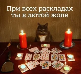 😮‍💨 emoji Бобр..... огромный бобр... Telegram sticker 12 of 13