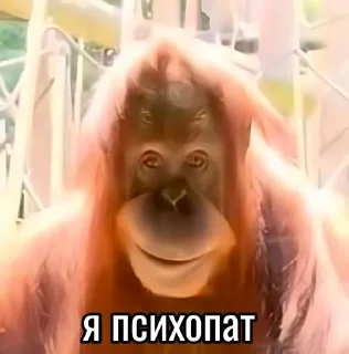 🌟 emoji Лига Шадоублейда Telegram sticker 16 of 90
