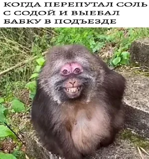🌟 emoji Лига Шадоублейда Telegram sticker 13 of 90