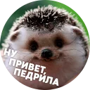 Sticker from 🦔 Hedgehog memes @lennysticker
