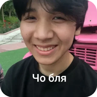 👍 emoji Котэ Telegram sticker 10 of 75