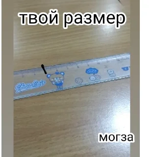🤏 emoji Котэ Telegram sticker 24 of 31