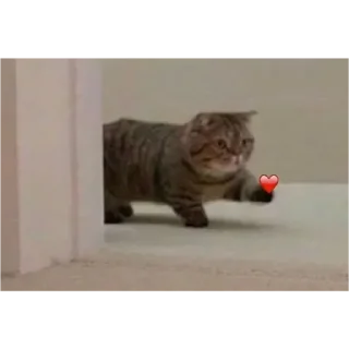 Sticker from котэ