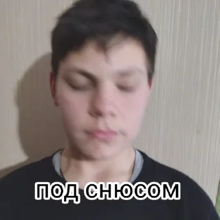 🤑 emoji Котэ Telegram sticker 20 of 31