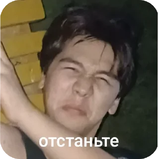 😀 emoji Котэ Telegram sticker 7 of 75
