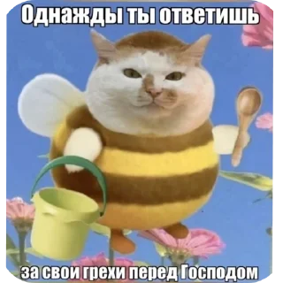 🖼 emoji Бибус Telegram sticker 14 of 54