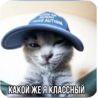 🖼 emoji Бибус Telegram sticker 24 of 54