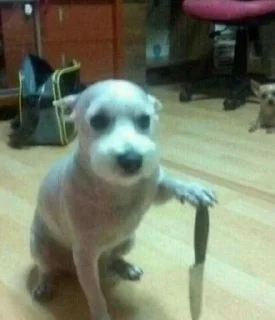 🌟 emoji собаки::@dist1ks Telegram sticker 12 of 54