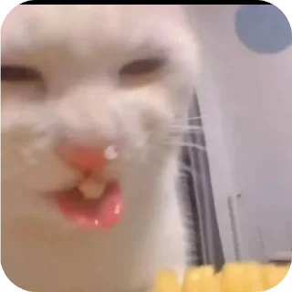 🤲 emoji Бибус Telegram sticker 7 of 54