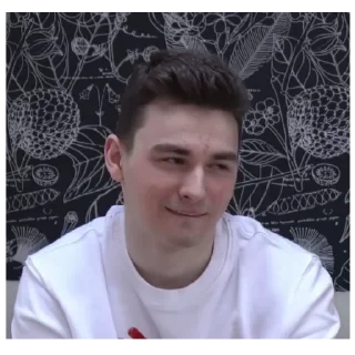 🙃 emoji Броен и АнастасИз Telegram sticker 11 of 118