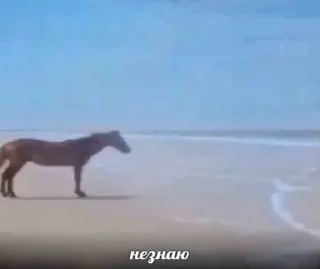 Sticker from вау да ты у нас тут даун