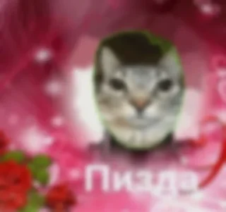 Sticker from кот 🤫🧏
