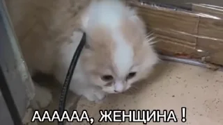 Sticker from Больше стиков тут: @stikery4
