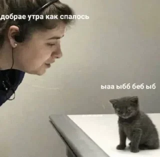 😶 emoji коти Telegram sticker 9 of 51