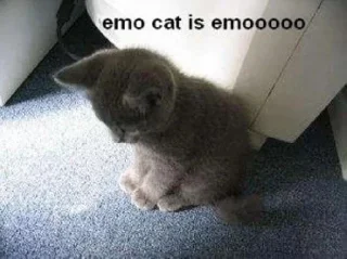 😭 emoji коти Telegram sticker 20 of 51