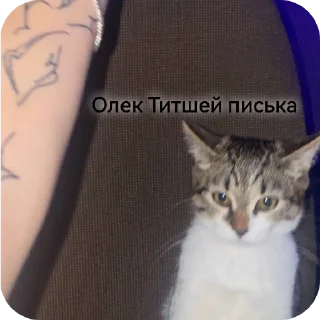 🥰 emoji Рр Telegram sticker 17 of 21