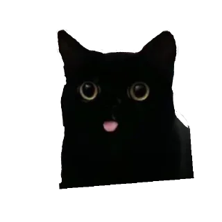 Sticker from Котэ