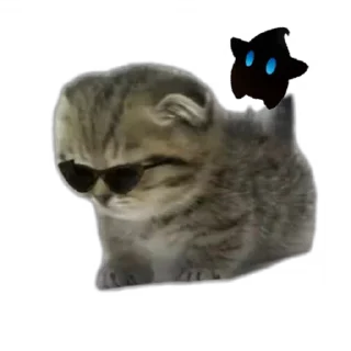 Sticker from Котэ