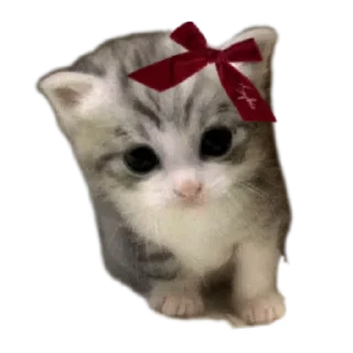 Sticker from Котэ