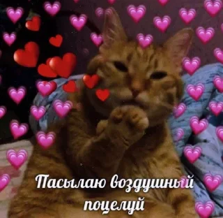 💌 emoji Favorite stickers Telegram sticker 13 of 14