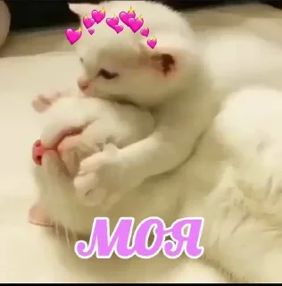 💌 emoji Favorite stickers Telegram sticker 2 of 14
