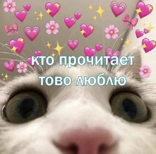 💌 emoji Favorite stickers Telegram sticker 12 of 14