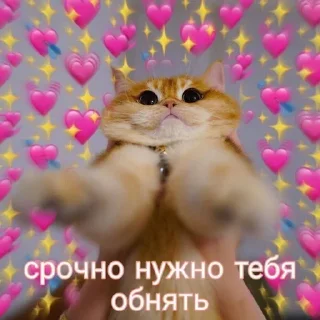 💌 emoji Favorite stickers Telegram sticker 9 of 14