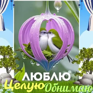 Sticker from @emoshko Любовь