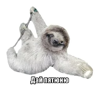 Sticker from Imagine Dragons @stickersb2b
