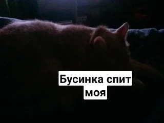 🥰 emoji Кокс😡❤️ Telegram sticker 10 of 18