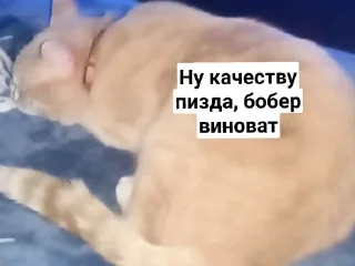 😅 emoji Кокс😡❤️ Telegram sticker 16 of 18