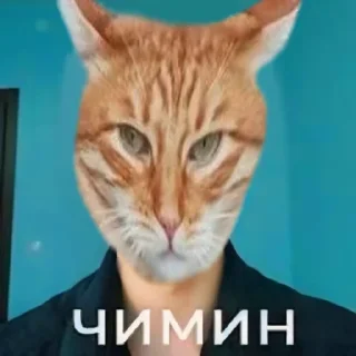 🤩 emoji чиминцы @TgEmodziBot Telegram sticker 9 of 56