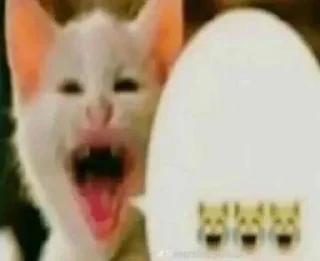 😹 emoji @sticksbb <— больше стиков💓💘💞 Telegram sticker 3 of 75