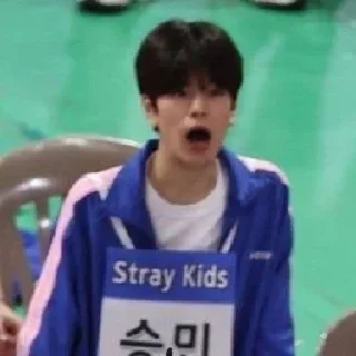 😨 emoji stray kids>3 Telegram sticker 16 of 97