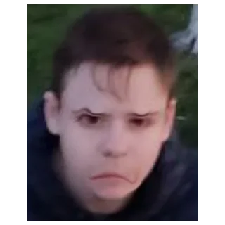 😠 emoji Жизнь МайНакамавцов Telegram sticker 3 of 11