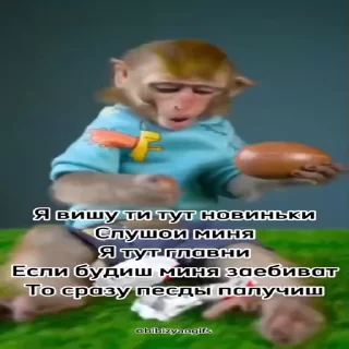 😏 emoji Пон :: @stikery_robot Telegram sticker 7 of 14