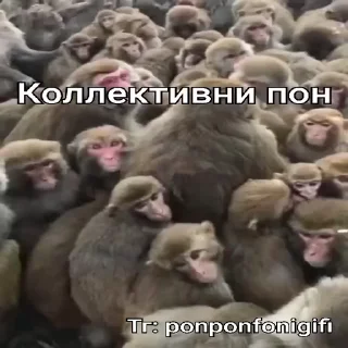 😄 emoji Пон :: @stikery_robot Telegram sticker 14 of 14
