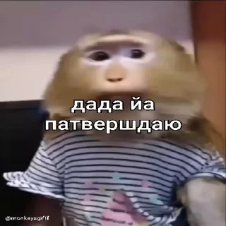 👍 emoji Пон :: @stikery_robot Telegram sticker 6 of 14
