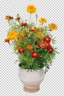 🌟 emoji Клумба у подъезда Telegram sticker 8 of 13