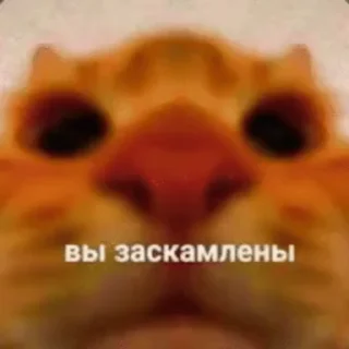 😍 emoji Еще стикеры - @The_Packo Telegram sticker 8 of 50