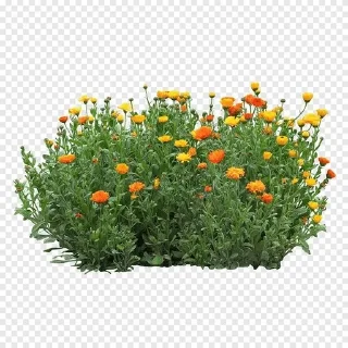 🌟 emoji Клумба у подъезда Telegram sticker 3 of 13