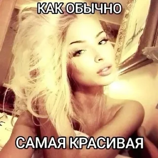 😻 emoji кисунь, это бимбо Telegram sticker 5 of 45
