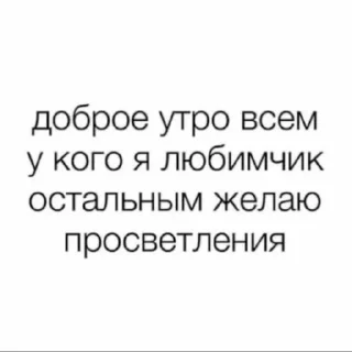 😽 emoji кисунь, это бимбо Telegram sticker 19 of 45