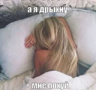 😽 emoji кисунь, это бимбо Telegram sticker 16 of 45